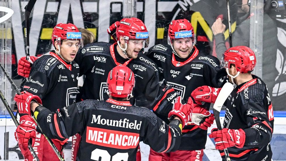 Hradečtí hokejisté se radují z gólu