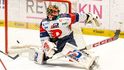 Pardubický brankář Malcolm Subban inkasuje gól