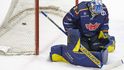Budějovický brankář Jan Strmeň inkasuje v utkání proti Kometě Brno