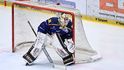 Budějovický brankář Nicklas Westerholm v utkání proti Spartě