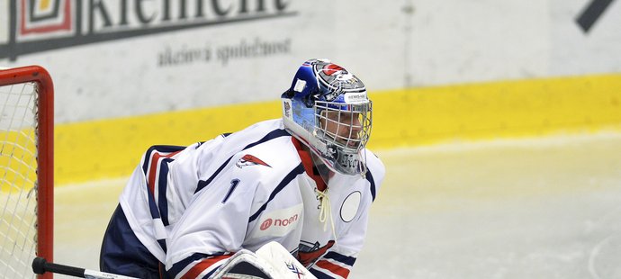 Miroslav Kopřiva se v zápase s Pardubicemi mohl přetrhnout