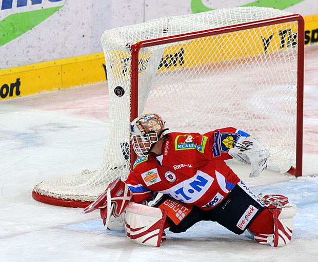 Hašek Hašek