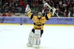 Brankář Litvínova Pavel Francouz slaví vítězství v rozhodujícím finále hokejové extraligy v Třinci