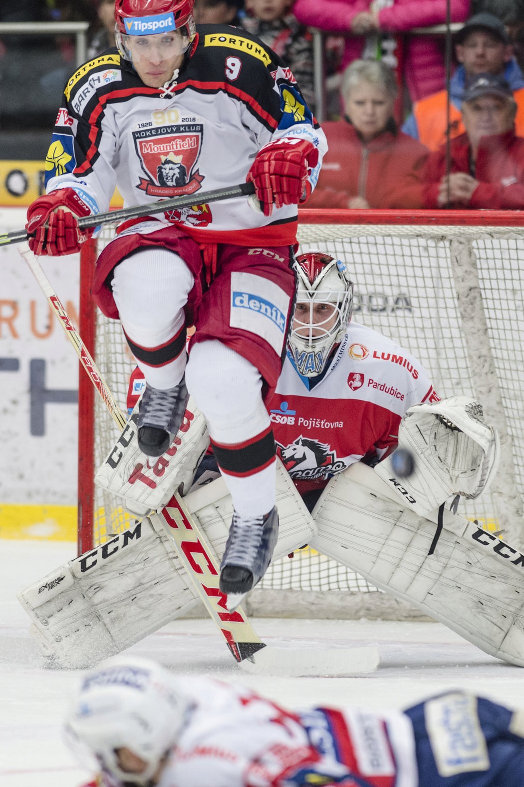 Hradecký útočník Bedřich Köhler před brankářem Dynama Maxwellem Brandonem