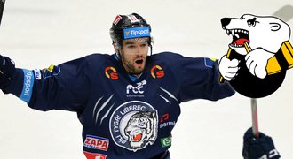 Liberec přišel o další oporu! Birner odchází za "dvojčetem" do KHL