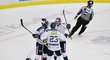 Hokejisté Liberce se radují z gólu proti Litvínovu