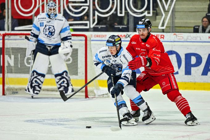 ONLINE: Liberec - Olomouc 3:2. Vítkovice doma otočily utkání s Motorem ONLINE: Liberec - Olomouc 3:2. Vítkovice doma otočily utkání s Motorem