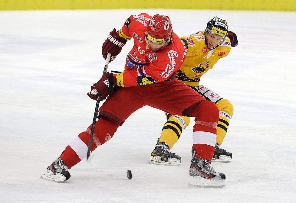 Ani posily z nepomohly. Martin Hanzal zamířil během výluky z NHL do Českých Budějovic, porážce s Litvínovem 0:3 však nezabránil.