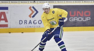 Vrbata se vzdal podílu v Mladé Boleslavi: Z NHL klub řídit nejde, tvrdí