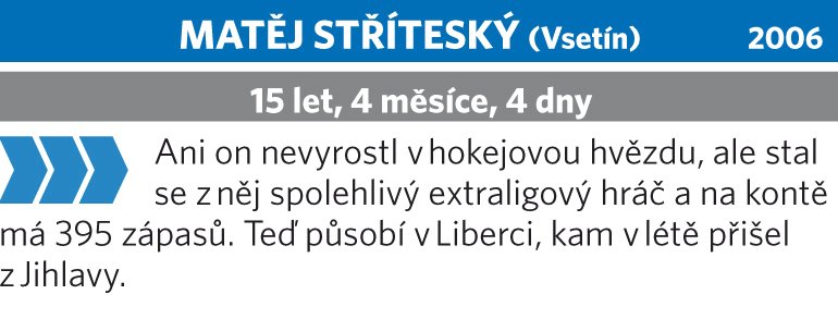 Matěj Stříteský (Vsetín)