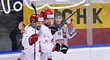 Hokejisté Hradce se radují z gólu v zápase proti Českým Budějovicím