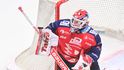 Pardubický brankář Roman Will proti Kladnu