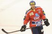 David Krejčí během výluky NHL, kdy nastupuje za Pardubice