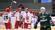 Hradečtí hokejisté se radují z gólu Radka Pilaře (vpravo uprostřed)