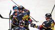 Litvínovští hokejisté se radují ze vstřelené branky