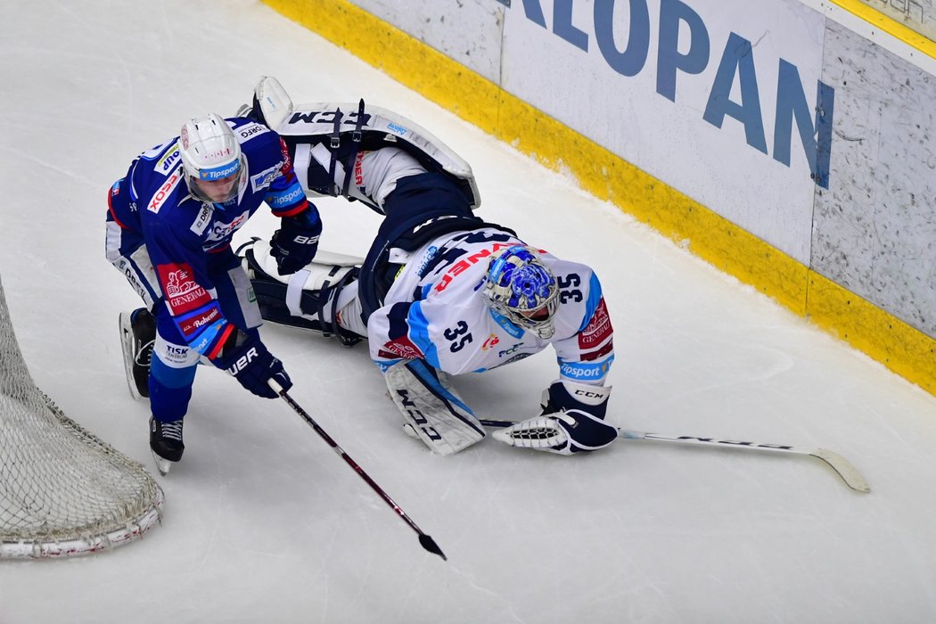 Brankář Roman Will pořádně vyděsil liberecké fanoušky, když upadl za brankovou čárou a nechal svatyni Bílých Tygrů prázdnou