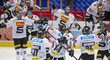 Hokejisté Sparty slaví vítězství v Českých Budějovicích, které je přiblížilo finále