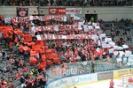 Klečíme, ale neležíme! Společně bojujeme, play off uhrajeme. Slávistický kotel při zápase s Litvínovem