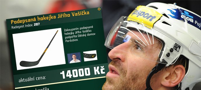V aukci nejvíce vydělala hokejka obránce Jiřího Vašíčka