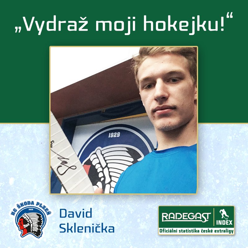 David Sklenička (Plzeň)