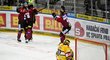 Hokejisté Sparty slaví gól proti Litvínovu