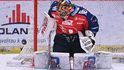 Pardubický brankář Malcolm Subban předvádí zákrok proti Třinci