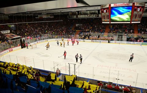Podpora Ukrajiny na hokeji v Hradci Králové