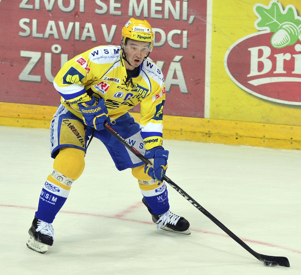 Bývalý hokejový reprezentant Petr Čajánek