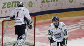 Trenérem hokejistů Znojma bude Jan Neliba