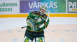 Marek Langhamer odešel z Ilves Tampere