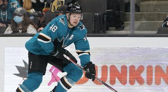 Hertl měl změnit stáj. Nevím, jestli v Sharks bude mít šanci na Stanley Cup