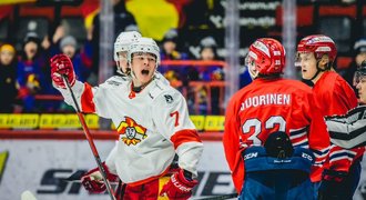 Boom Jokeritu: Žolíci uprchli z KHL, drápou se zpátky mezi elitu