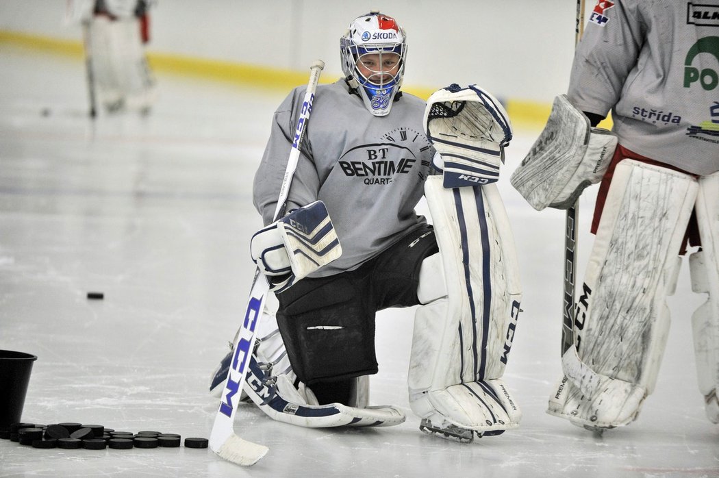 Josef Kořenář si v zámoří vybojoval smlouvu u Sharks a vrátil se do Čech, kde bude chytat za Jihlavu