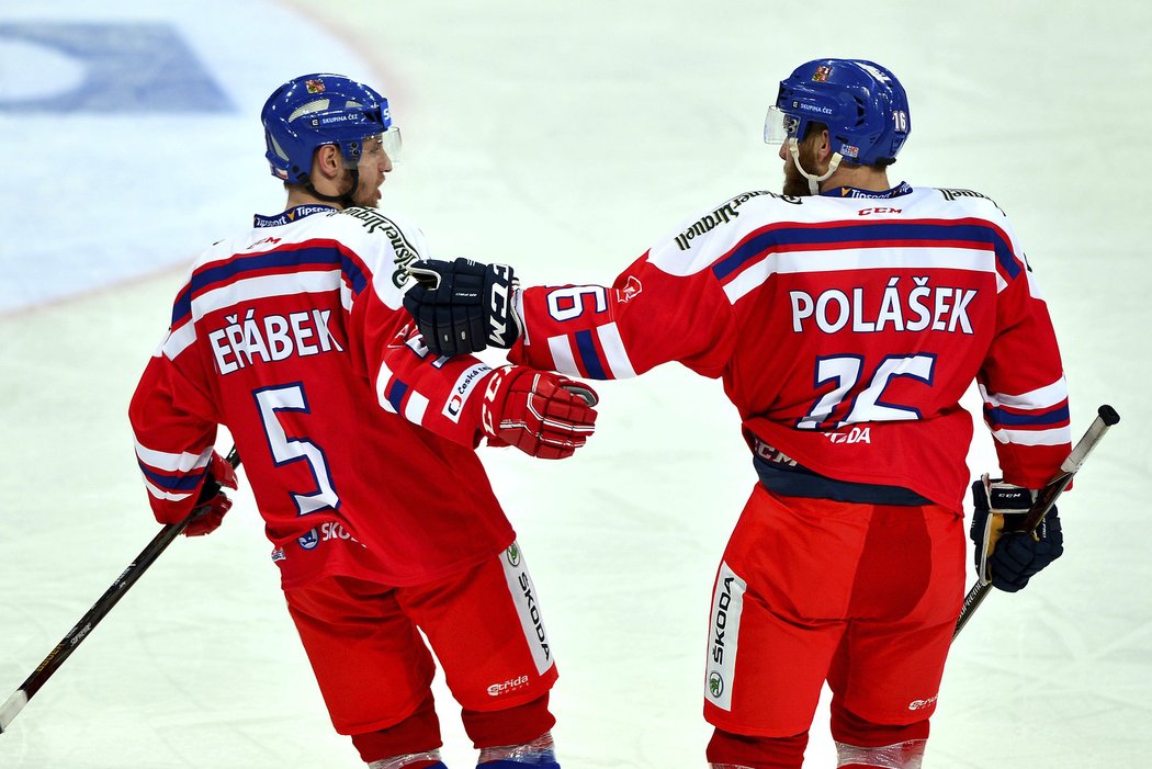 Adam Polášek kromě výborné defenzivy stíhal proti Finsku i útočit