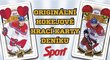 Od pondělí do čtvrtka v deníku Sport jako dárek najdete karty s českými hokejisty