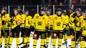 Hokejisté finské SaiPy