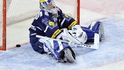 Domácí gólman Fikrt v akci