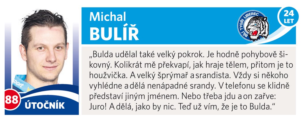 Michal Bulíř