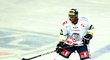 Hokejový útočník Wayne Simmonds hraje extraligu v době výluky za Liberec. Při zápase v Chomutově na hráče tmavé pleti pršely od hrstky fanoušků rasistické urážky, jména hrubiánů klub zveřejnil na svých internetových stránkách