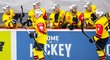 Hokejisté švýcarského Bernu slavní první gól do sítě Hradce Králové