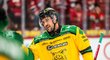 Ve finské nejvyšší soutěži hokejisté zcela běžně nosí chránič krku