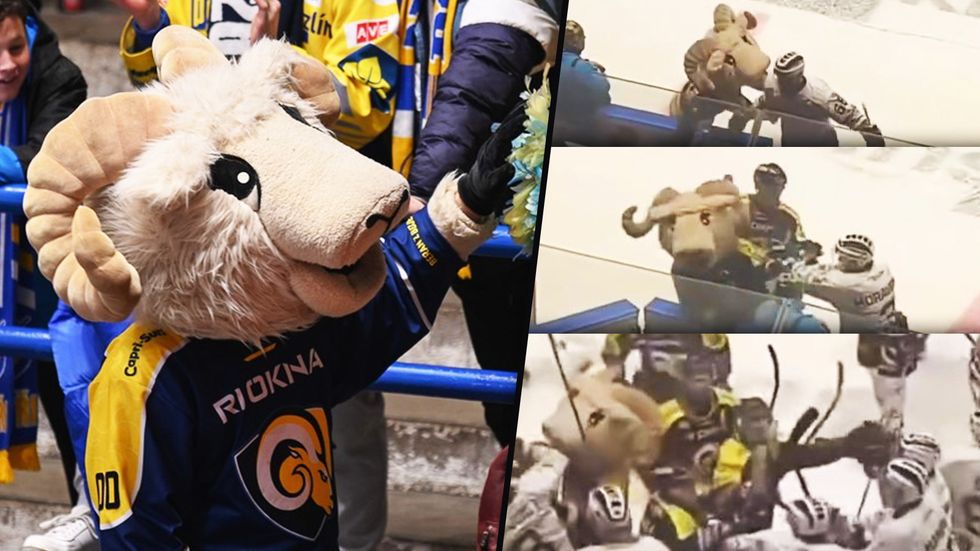 Na hokeji ve Zlíně řádil klubový maskot