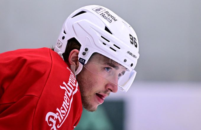 Hovorka o neúčasti na MS: Vysvětlení jsem nikdy nedostal. Teď jde bojovat o NHL Hovorka o neúčasti na MS: Vysvětlení jsem nikdy nedostal. Teď jde bojovat o NHL