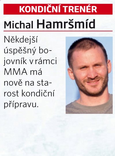 Michal Hamršmíd