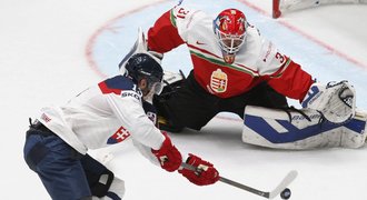 Slováci po výhře: Maďaři se propagovali typickým kanadským hokejem