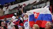 Fanoušci slovenských hokejistů měli na mistrovství světa důvod k radosti. Slovensko vedlo nad Maďarskem 3:1.