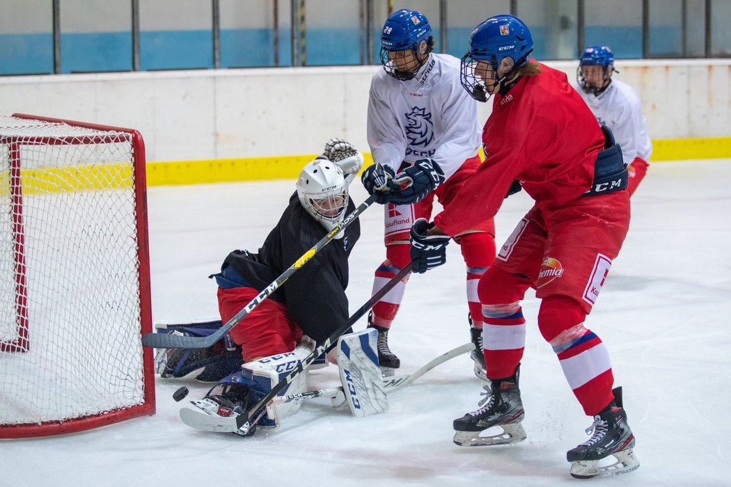 Česká osmnáctka vstupuje do Hlinka Gretzky Cupu