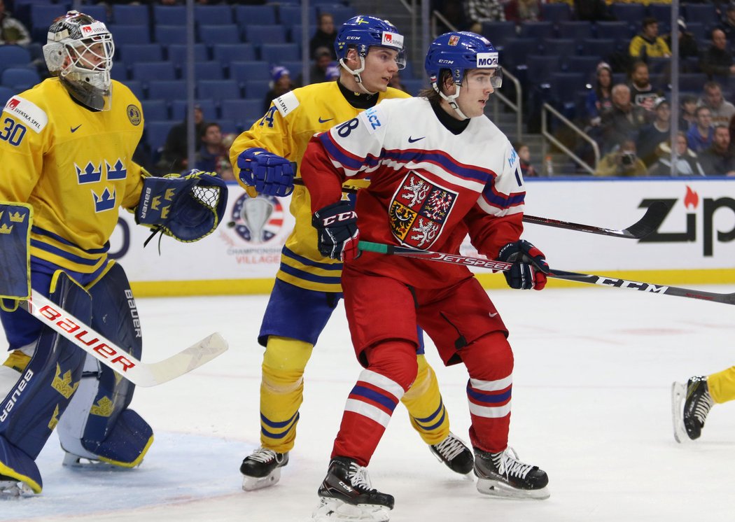 Filip Zadina před švédskou brankou