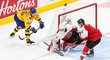 Hokejisté Švédska si bez problémů poradili s Rakouskem
