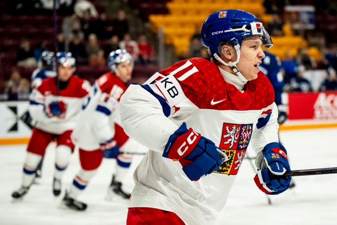 Záruba hlásil gól proti Finům, diváci ho viděli až později. ČT přišla s omluvou Záruba hlásil gól proti Finům, diváci ho viděli až později. ČT přišla s omluvou